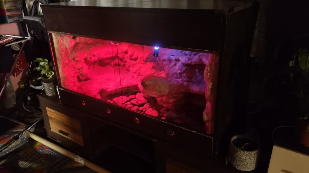 Terrarium z płyty meblowej 125x60x60