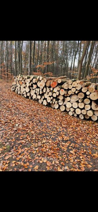 Drewno opałowe Kominkowe metry wałki do pieca