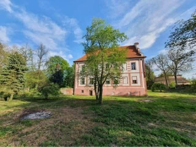 Pałac w Snowidzy na sprzedaż