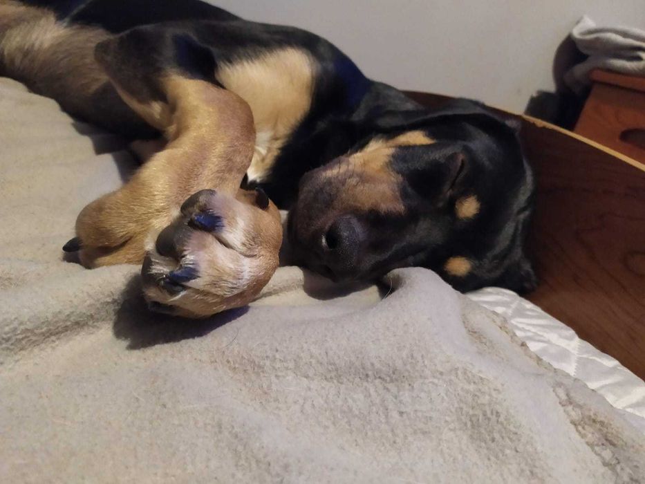 Mãe e filho porte médio