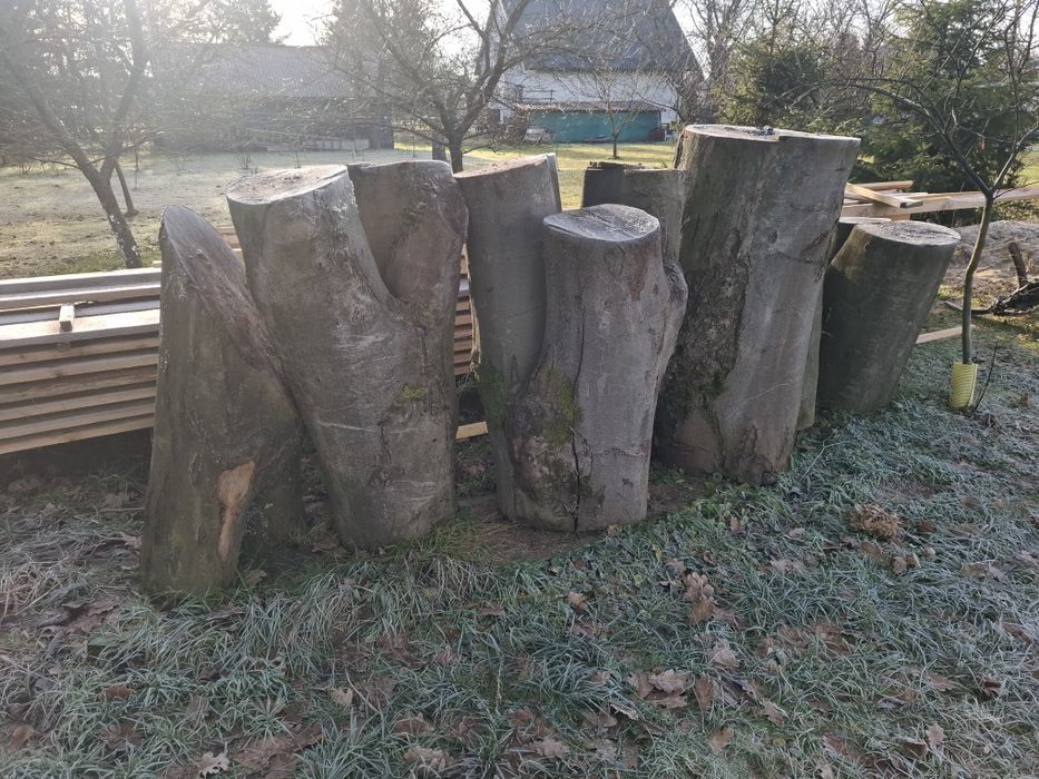 Kloce bukowe loft pod nogi do stołu