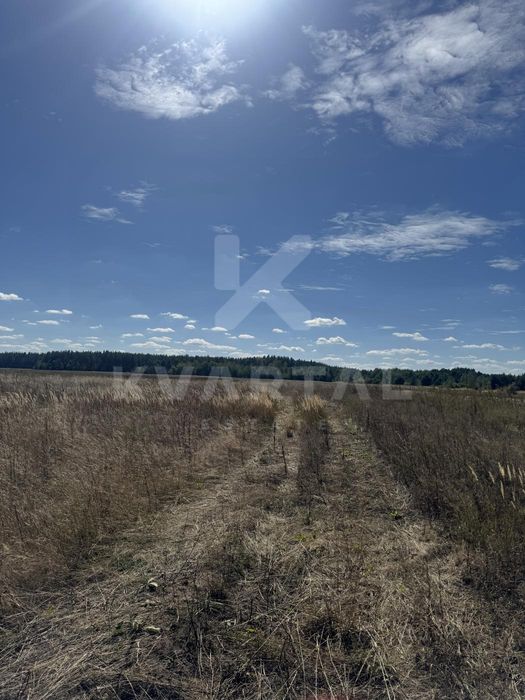 Земельна ділянка в с. Дружня, 15 соток. Вигідна пропозиція