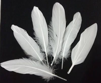 Пір'я, подушки,перини