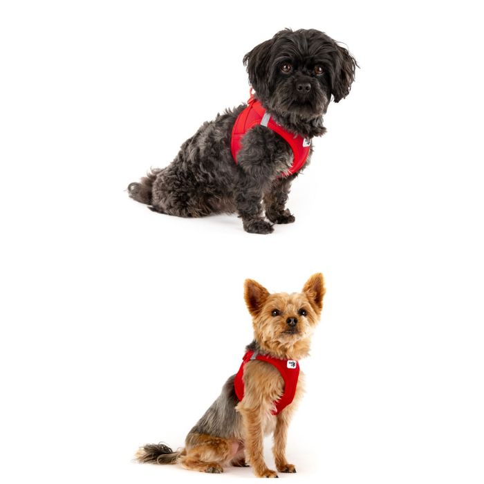 Жилет Curli застібка Air-Mesh Prince