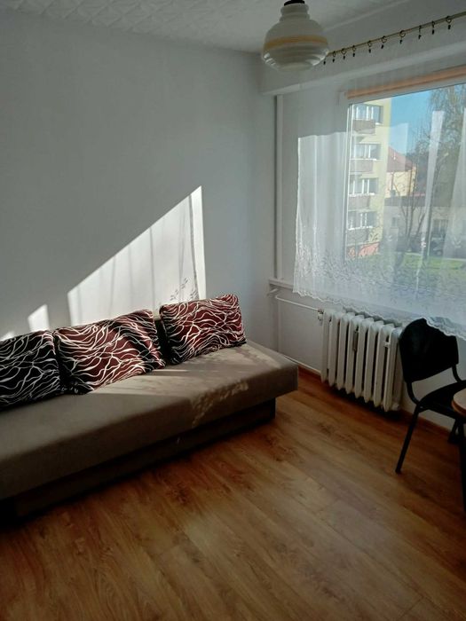 Jasne, ciepłe mieszkanie do wynajęcia