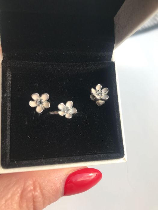 Набір прикрас PANDORA