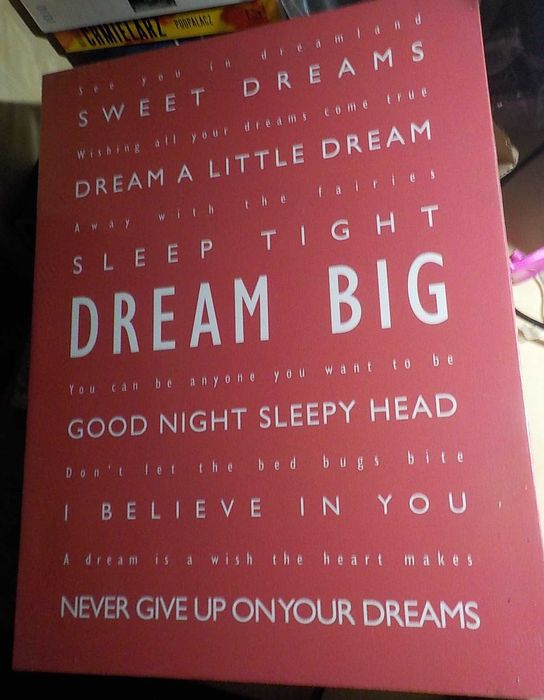 Obraz na płótnie 40x30 cm Feel Good Art Dream Big