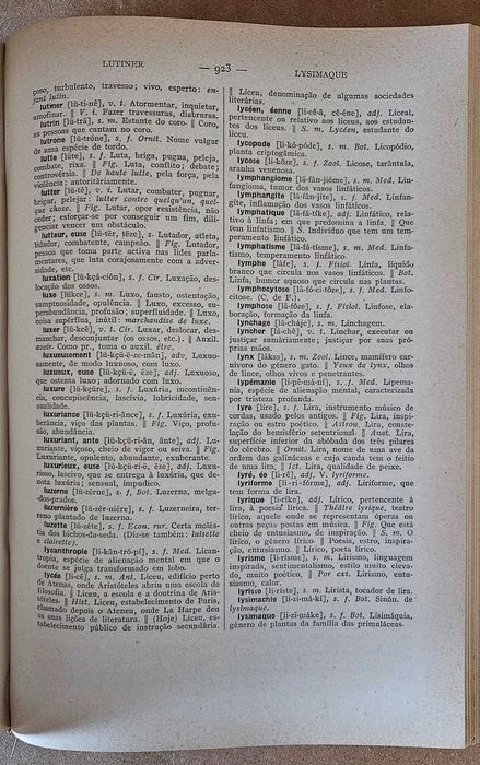 Grande Dicionário Francês-Português Domingos de Azevedo (antigo)