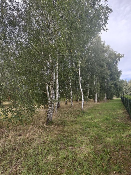 Przepiękna działka z linią brzegową Jeziora