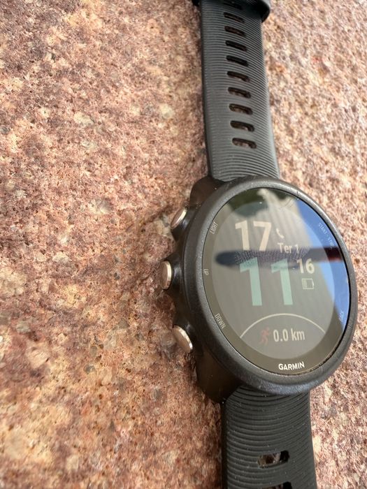 GARMIN Forerunner 245
