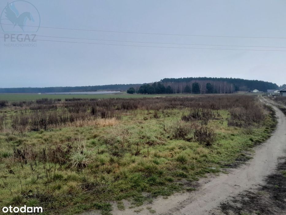 Działka budowlana Kuźnik Ostatnia