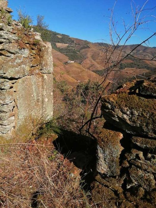 Quinta do Grilo - Alto Douro