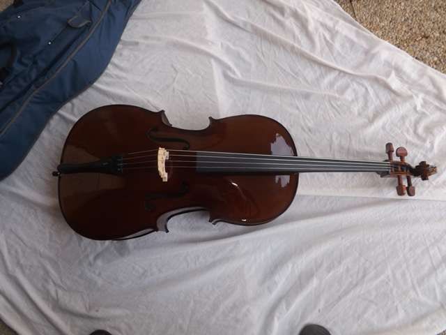 Violoncelo novo madeira Stentor