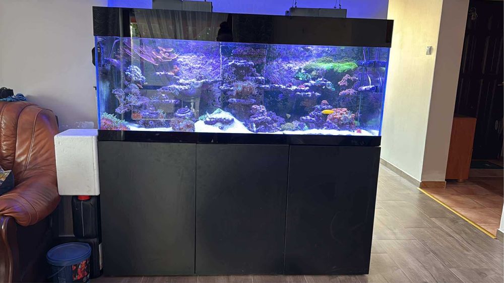 Akwarium morskie 150x50x50cm