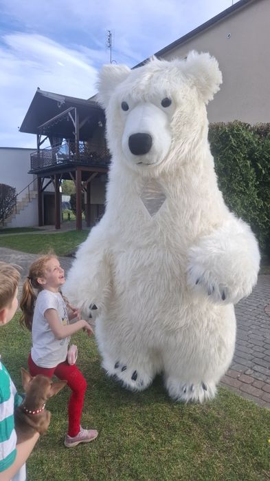 Biały miś atrakcje Wesela urodziny