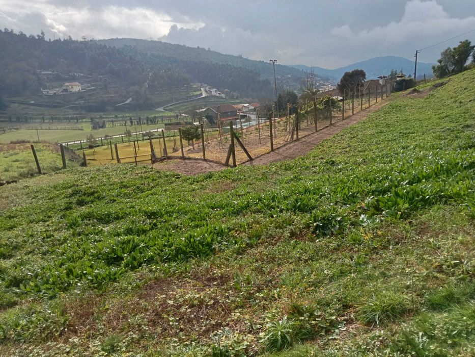 Quinta para Workshops de Jardinagem, Cultivo e Sustentabilidade