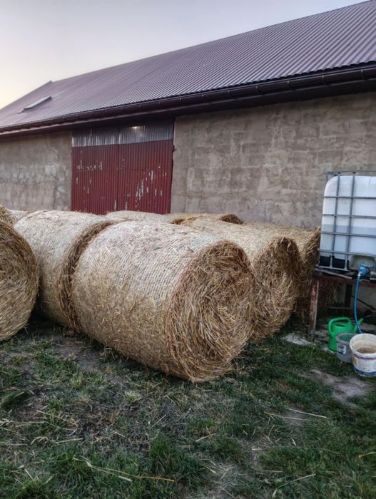 Słoma w belach ,