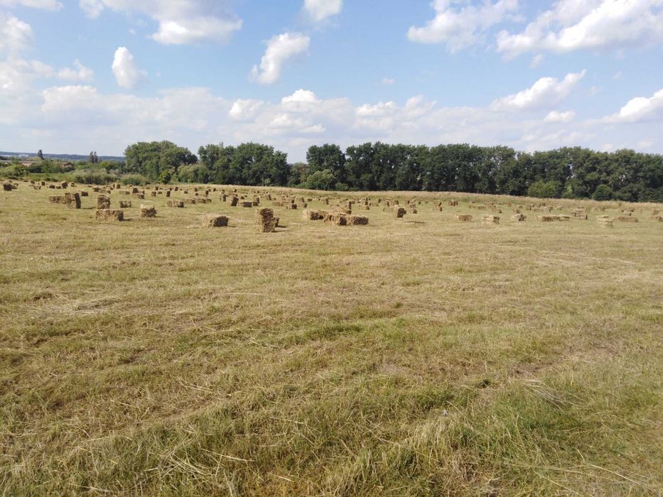 Продажа тюків. Звертатись за номером