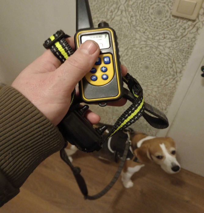 Умный тренирующий ошейник для собак - дрессировщик на пульту на 800м