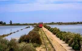Pedras Del Rey - Algarve