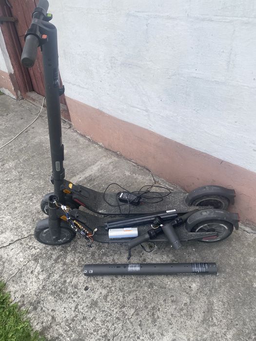 Hulajnogi ninebot essential