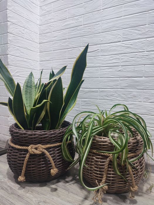 Donica z sztucznego rattanu