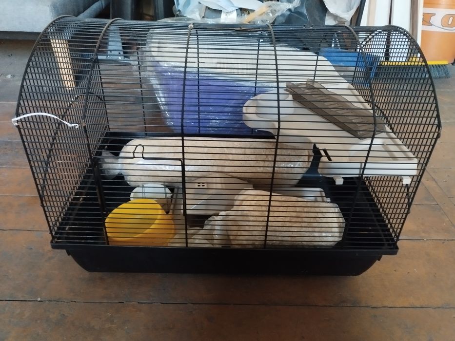 Sprzedam klatkę dla gryzoni