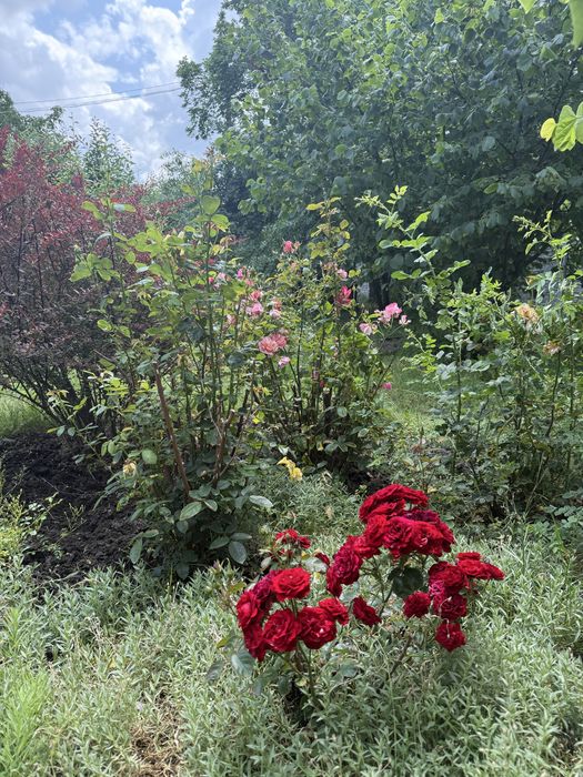 Дом-дача в Пещанке