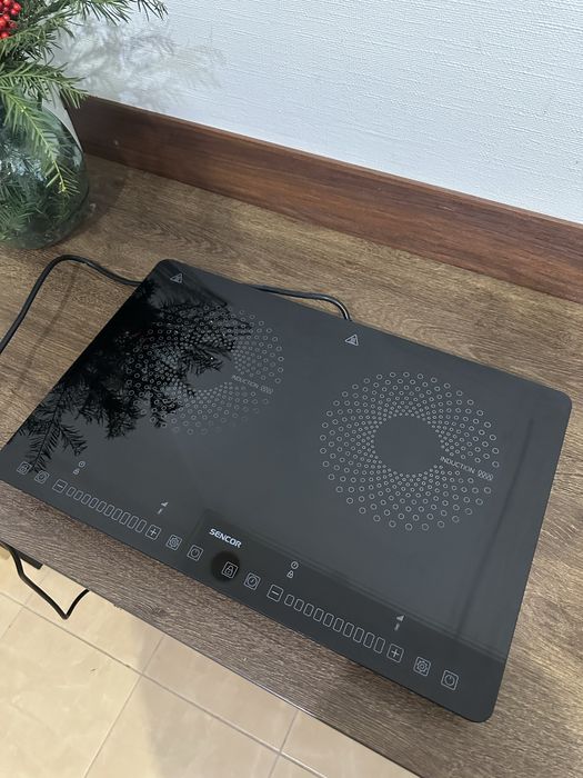 Індукційна пліта