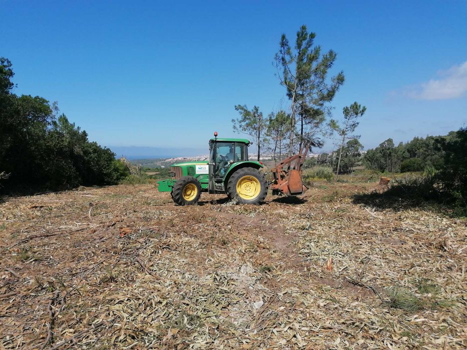 Limpezas de Terrenos e Serviços Florestais