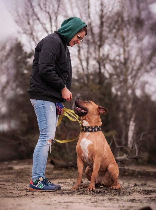 Clyde – wierny przyjaciel szuka spokojnego miejsca na ziemi
