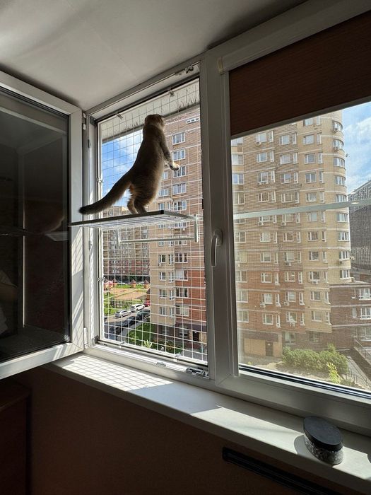 Навесная полка к Решетки Антикошка