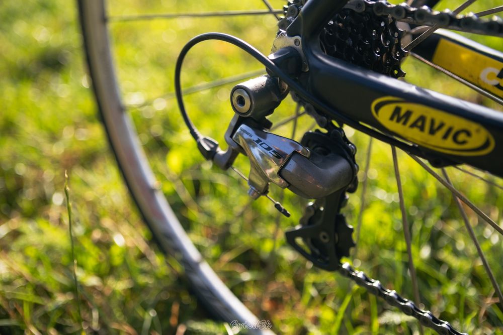 Rower Boardman Team C