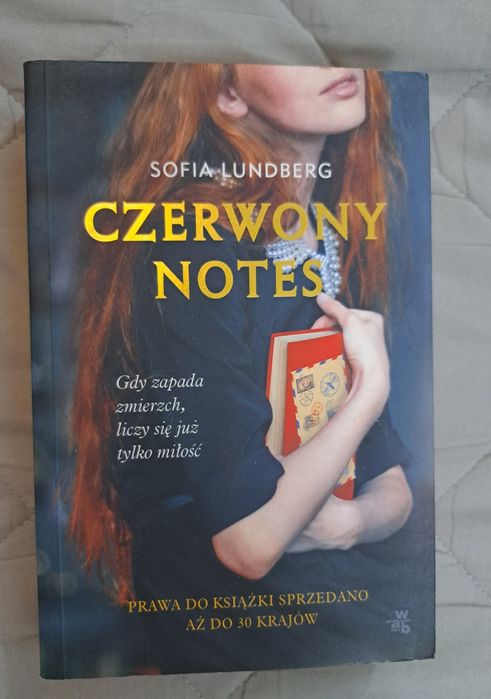Książka Czerwony notes Lundberg