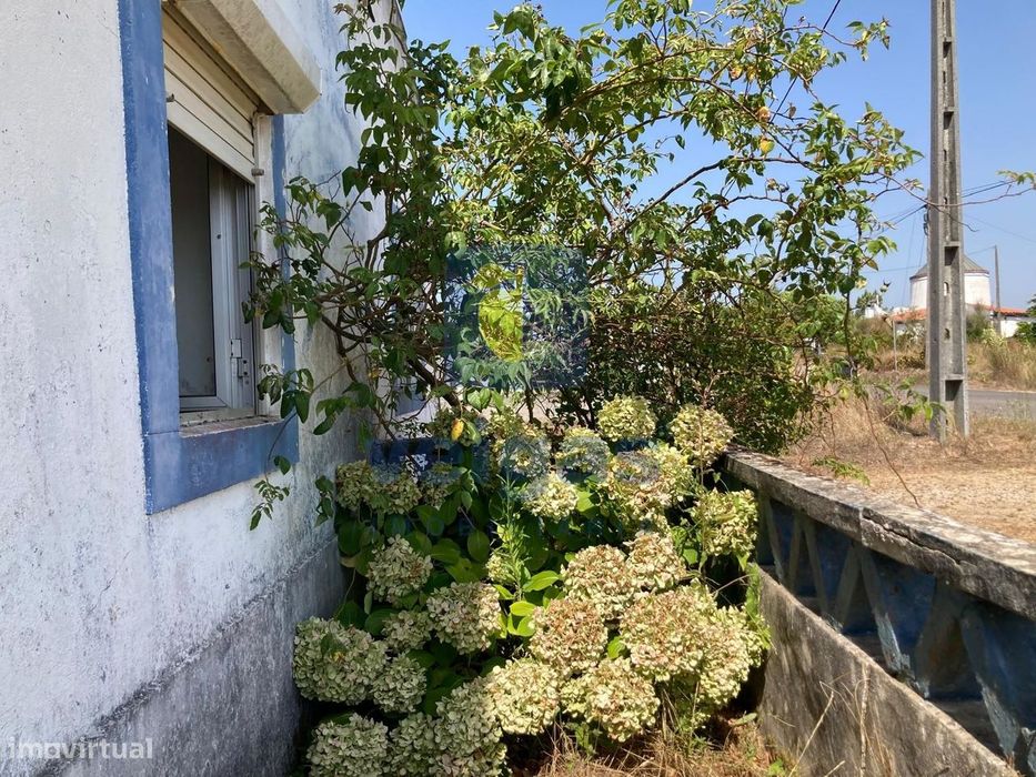 Casa Típica Portuguesa com Terreno de 6346m2