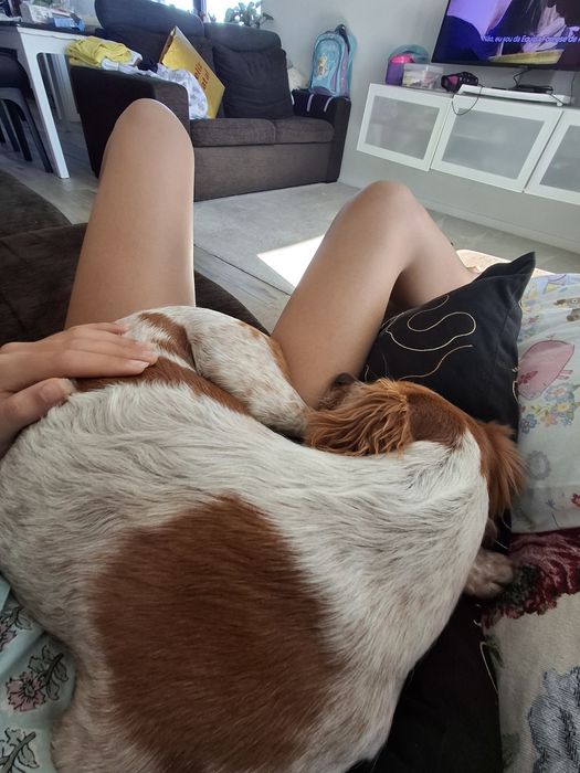 Pet sitting & Dog walking em Santarém