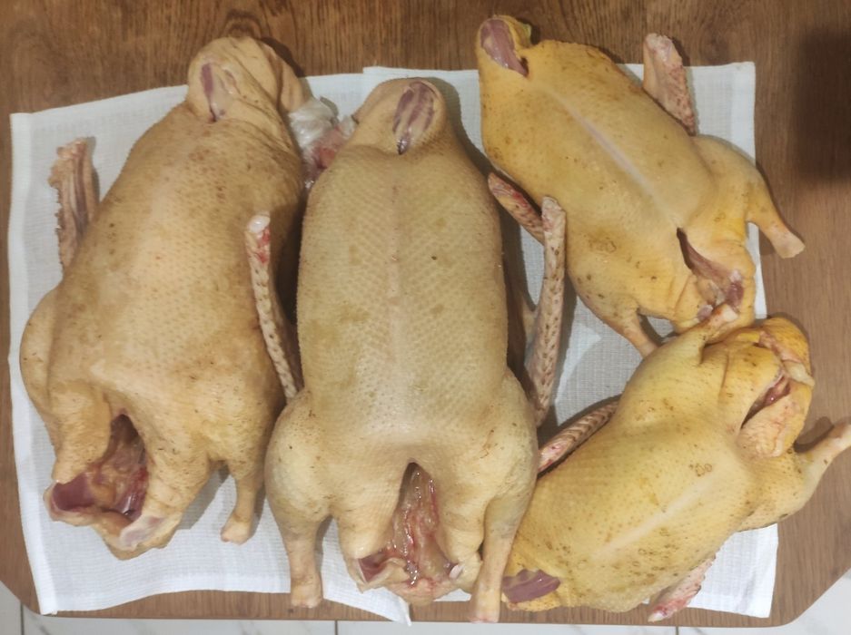 Продам м'ясо гусей і качок