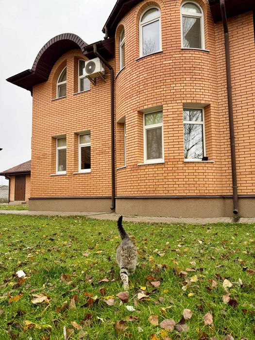 Продаж цегляного двоповерхового будинку 128 м2 з банею.