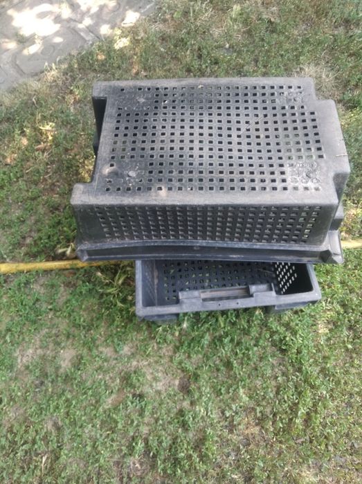 Ящики для хранения овощей и фруктов