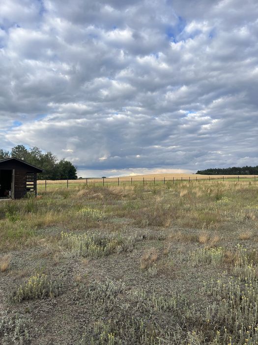 Dzialka budowlana 1389 m² | Media | Spokojna, zielona okolica