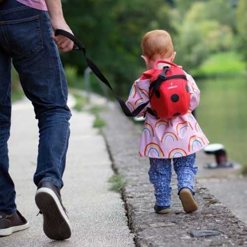 Дитячий Рюкзак Little Life рюкзак Animal Toddler ladybird вожжи