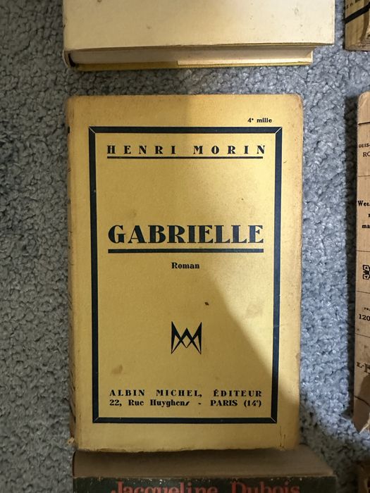 Lote de 14 livros Franceses