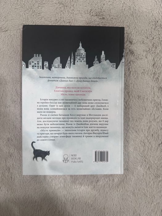 Книга, «Місто привидів», В.Е. Шваб