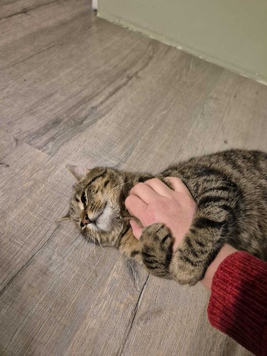 Grawitacja to tylko sugestia! Poznaj roztańczonego Vertigo.