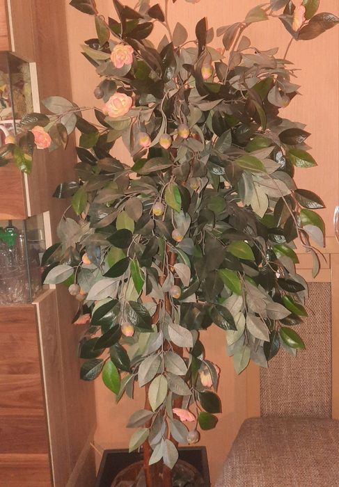 Drzewko do salonu ogrodu 160 cm