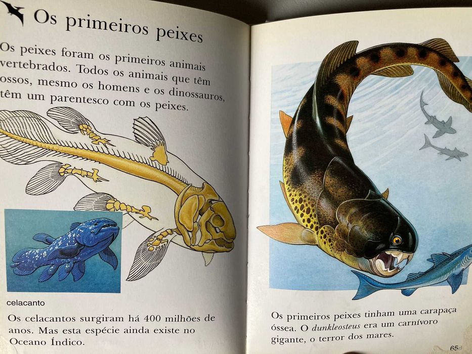 Os   Dinossauros