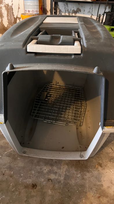 Caixa transporte cão