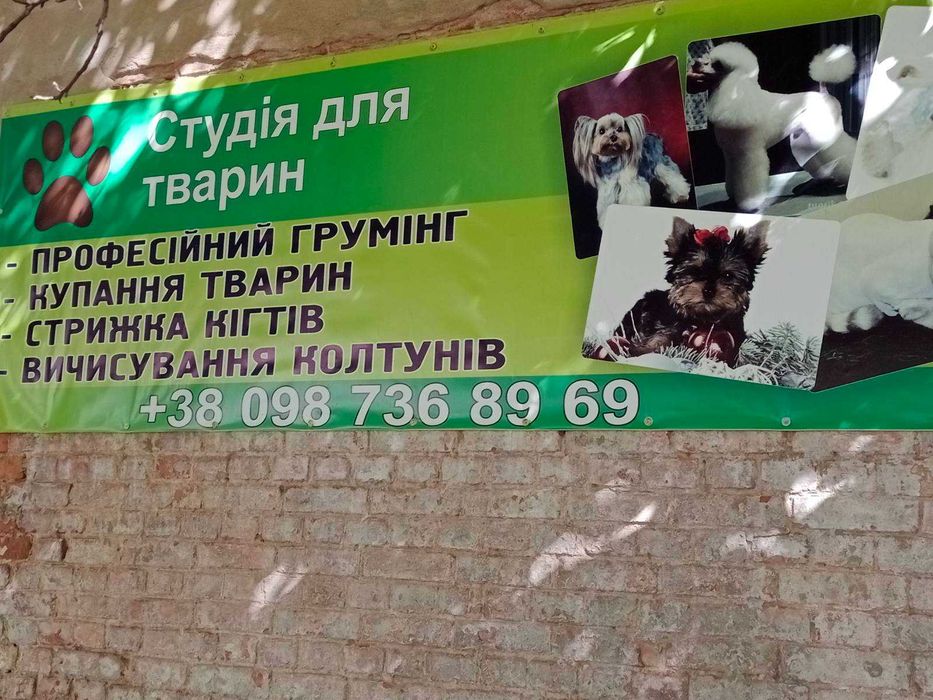 Салон стрижек для собак & котів, на старій "Дзержинці"