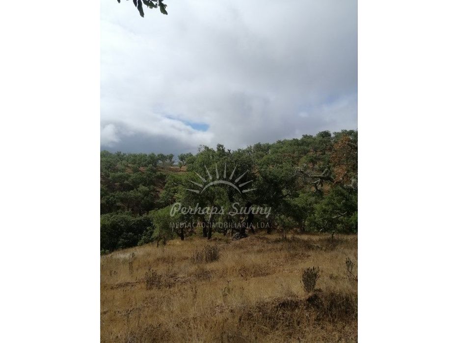 Terreno Rústico