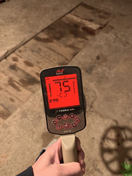 Minelab X-terra Elite